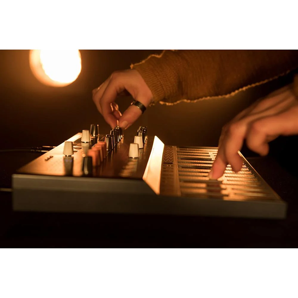 Arturia MicroFreak 25-Key Hybrid Analog-Digital Synthesizer, Black - Refurbished - Image 10