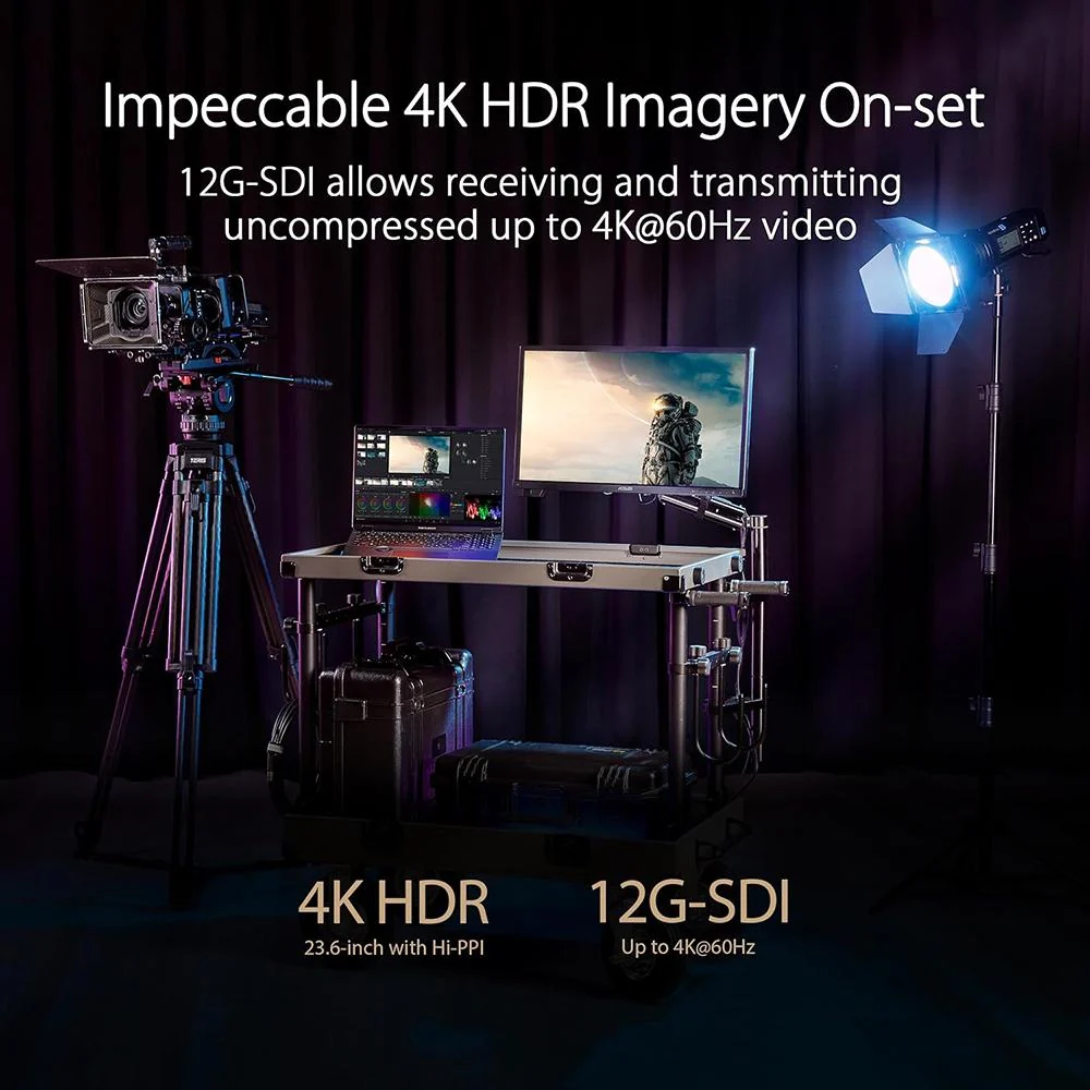 ASUS PA24US - Image 12