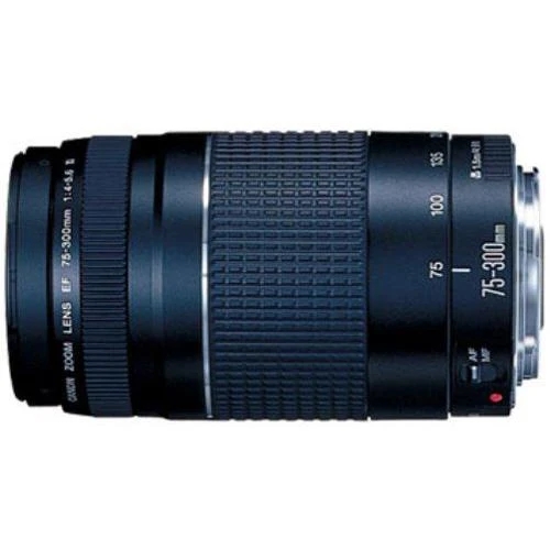 Canon EF 75-300mm F4-5.6 III Telephoto Zoom Lens - Image 2