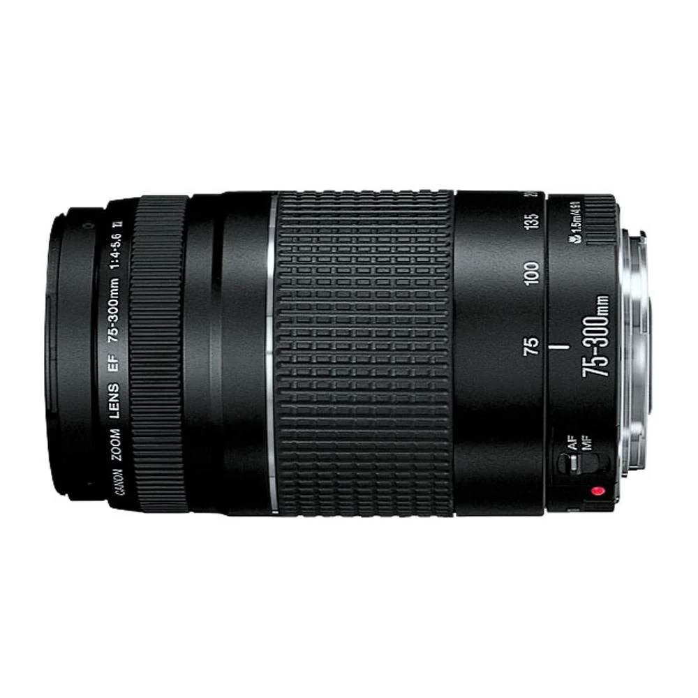 Canon EOS Rebel T7 DSLR Camera with EF18-55mm + EF 75-300mm Double Zoom Kit - Image 6