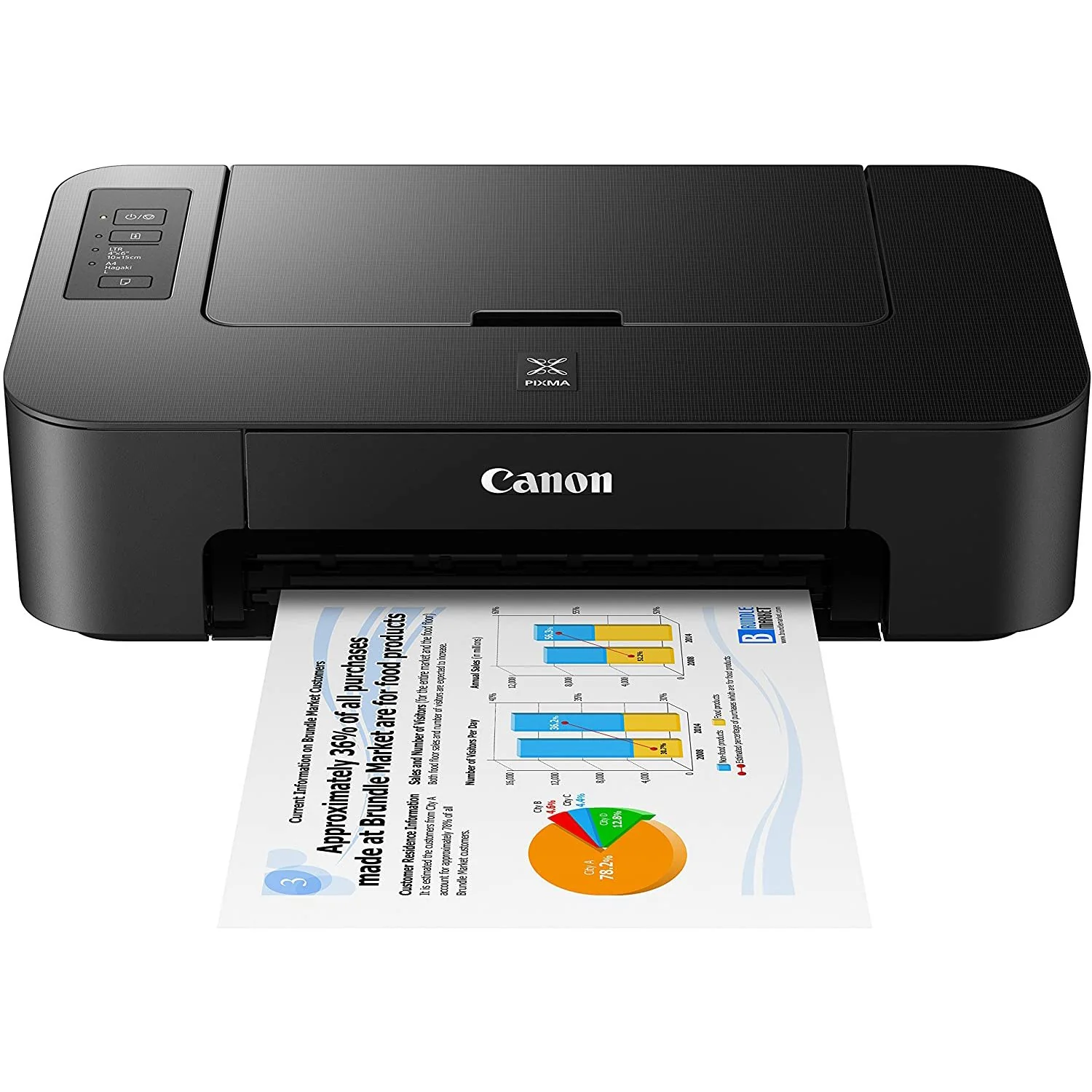Canon PIXMA TS202 Inkjet Printer for Documents and Photos Up to 4800 x 1200 dpi Bundle - Image 2