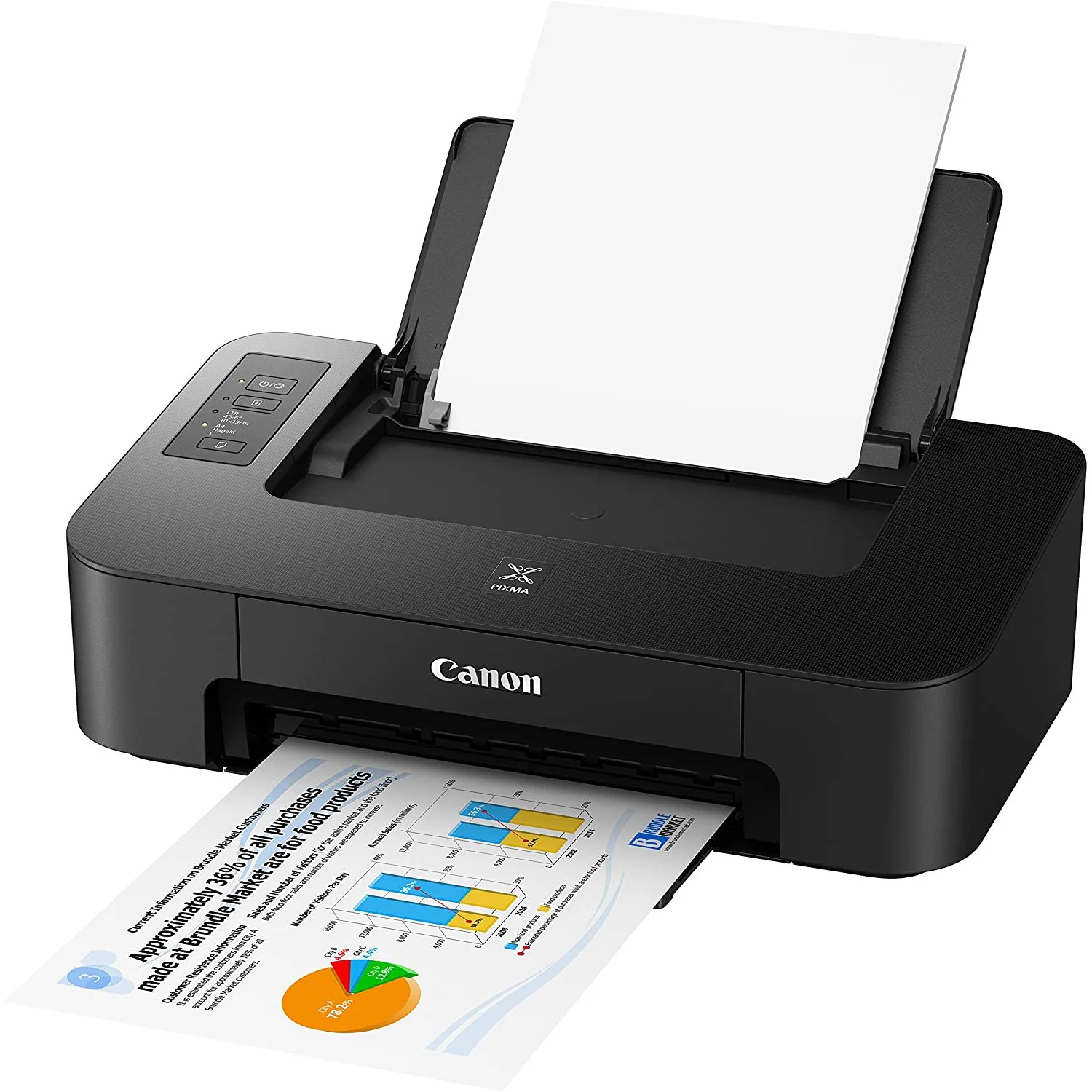Canon PIXMA TS202 Inkjet Printer for Documents and Photos Up to 4800 x 1200 dpi Bundle - Image 3