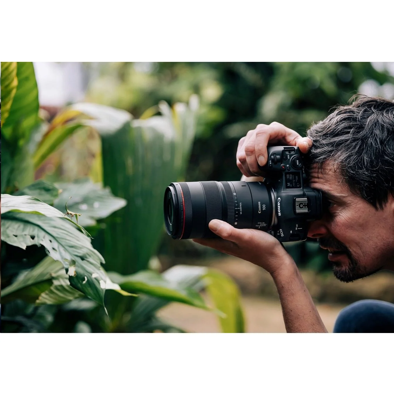 Canon RF 100mm F2.8 L MACRO IS USM Full Frame Lens for RF Cameras + 64GB Dual Bundle - Image 11