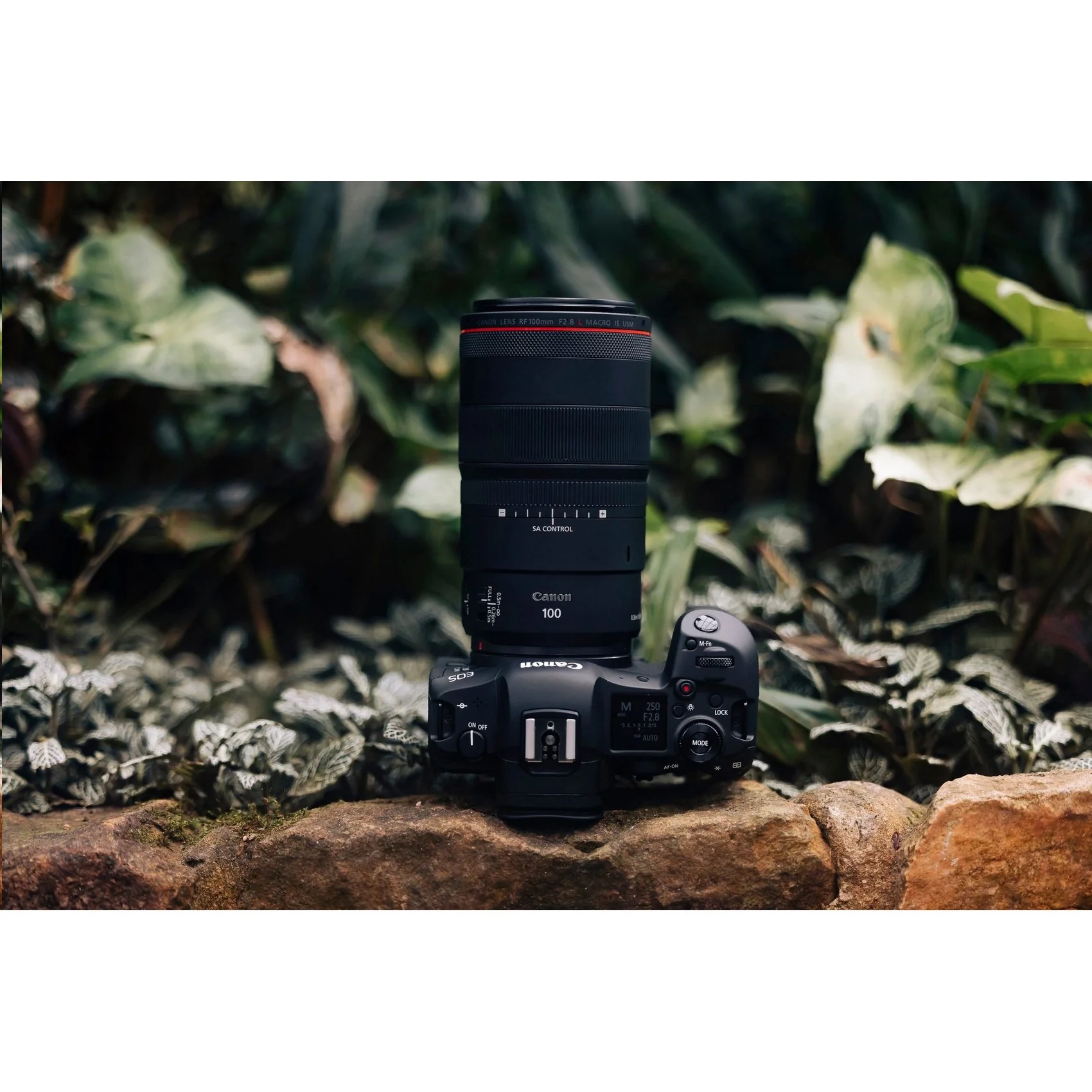 Canon RF 100mm F2.8 L MACRO IS USM Full Frame Lens for RF Cameras + 64GB Dual Bundle - Image 14