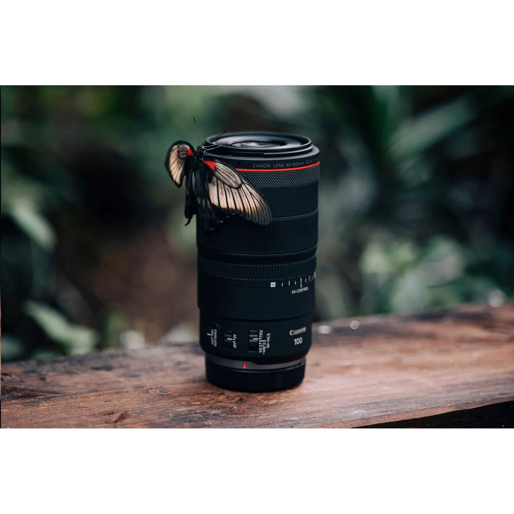 Canon RF 100mm F2.8 L MACRO IS USM Full Frame Lens for RF Cameras + 64GB Dual Bundle - Image 15