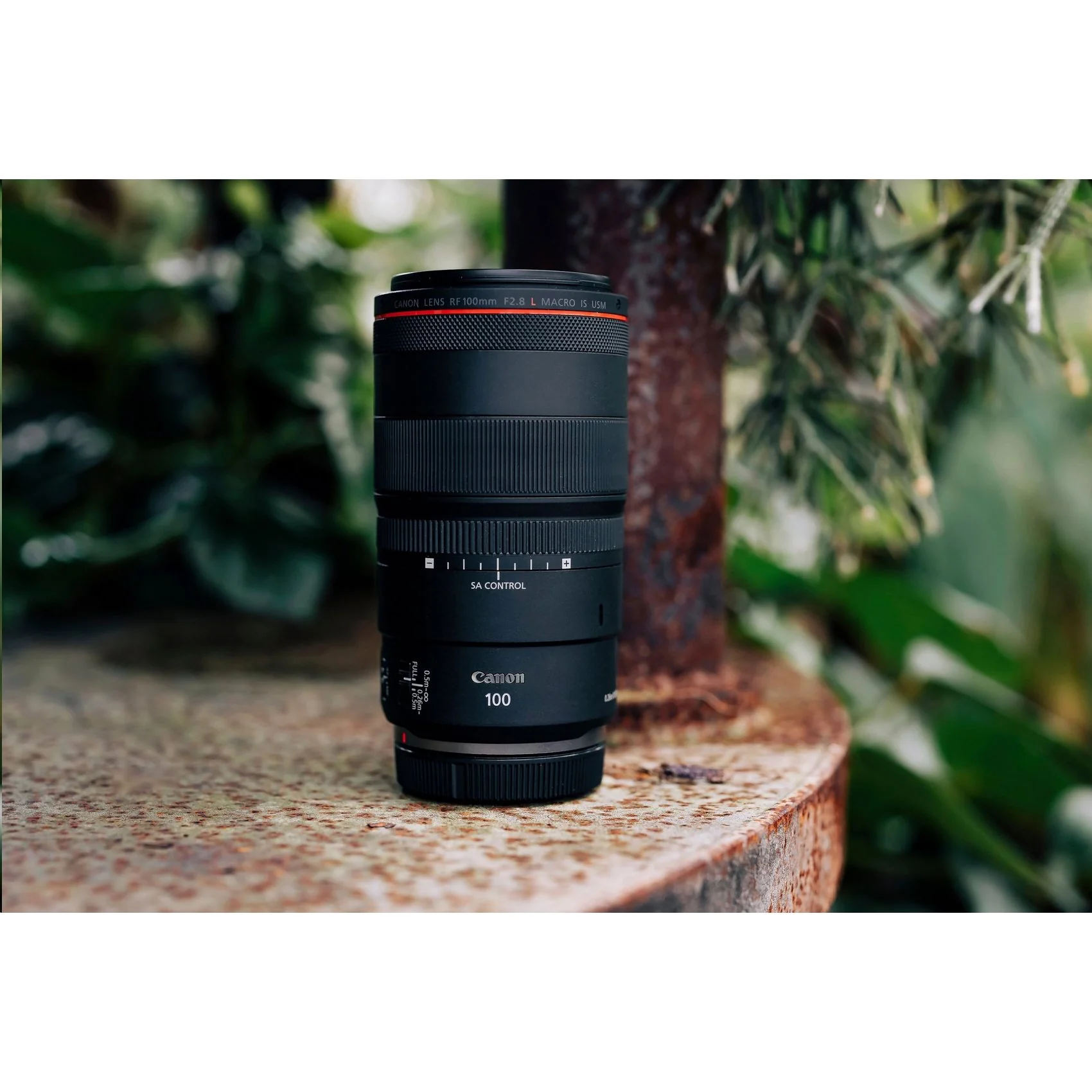 Canon RF 100mm F2.8 L MACRO IS USM Full Frame Lens for RF Cameras + 64GB Dual Bundle - Image 16
