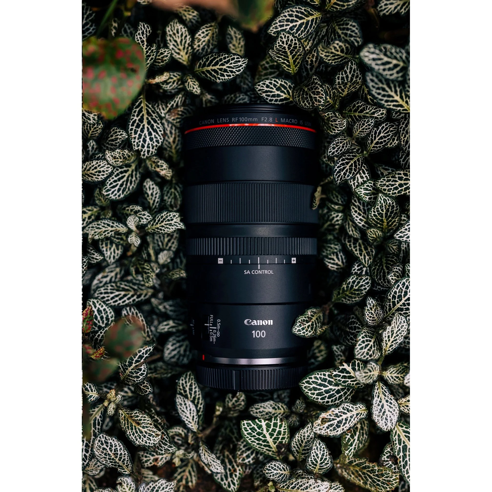 Canon RF 100mm F2.8 L MACRO IS USM Full Frame Lens for RF Cameras + 64GB Dual Bundle - Image 9