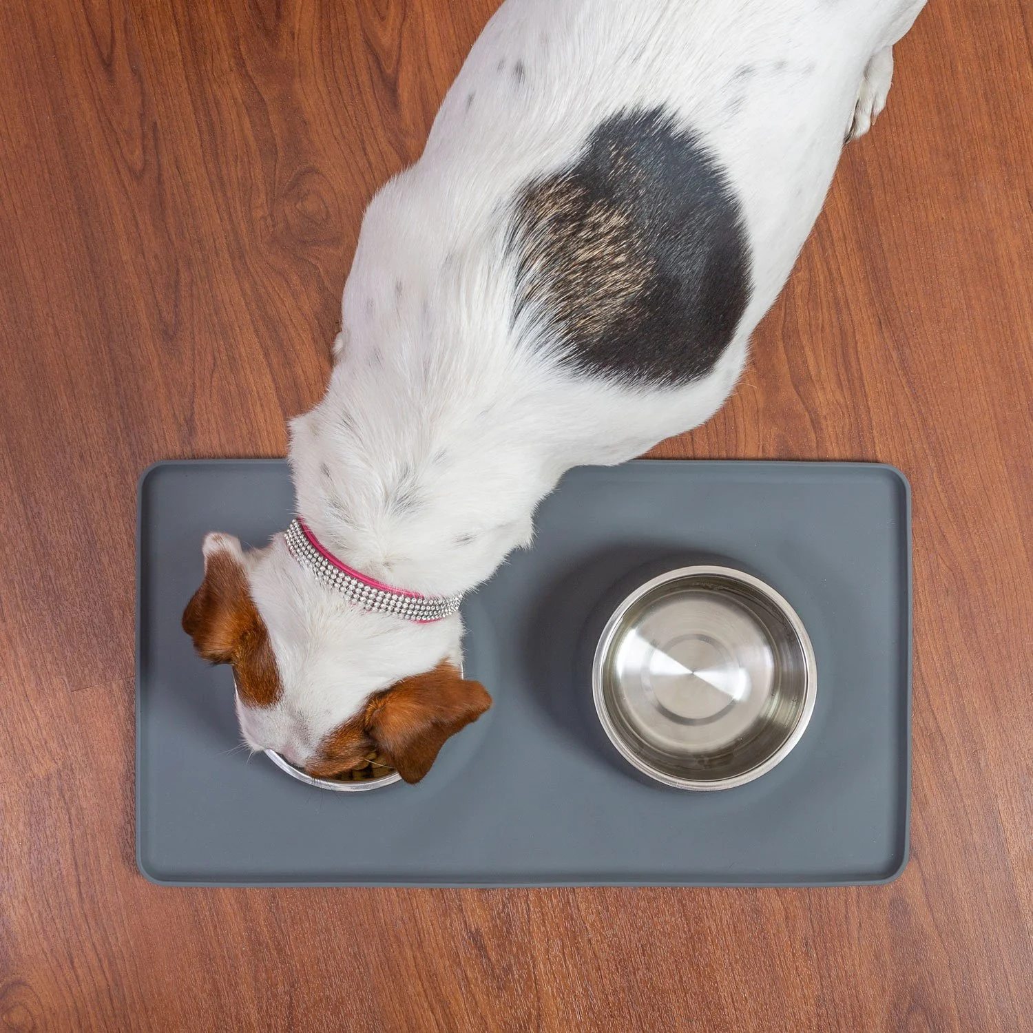 Deco Pet Dual Stainless Steel Food/Water Bowls for Pets - Image 5