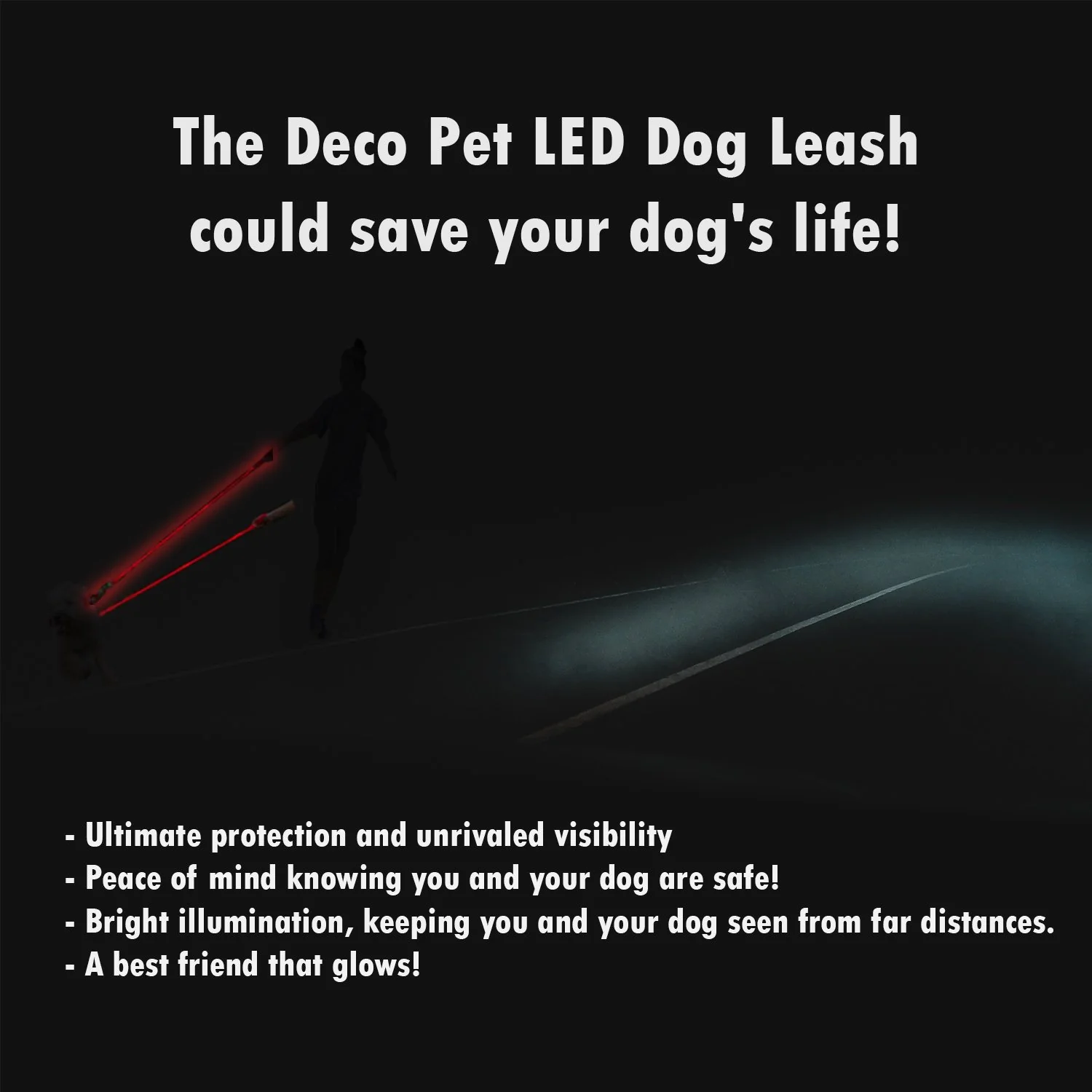 Deco Pet LED Dog Leash w/3 Light Modes for Night Safety, Battery-Powered - Blue - Image 5