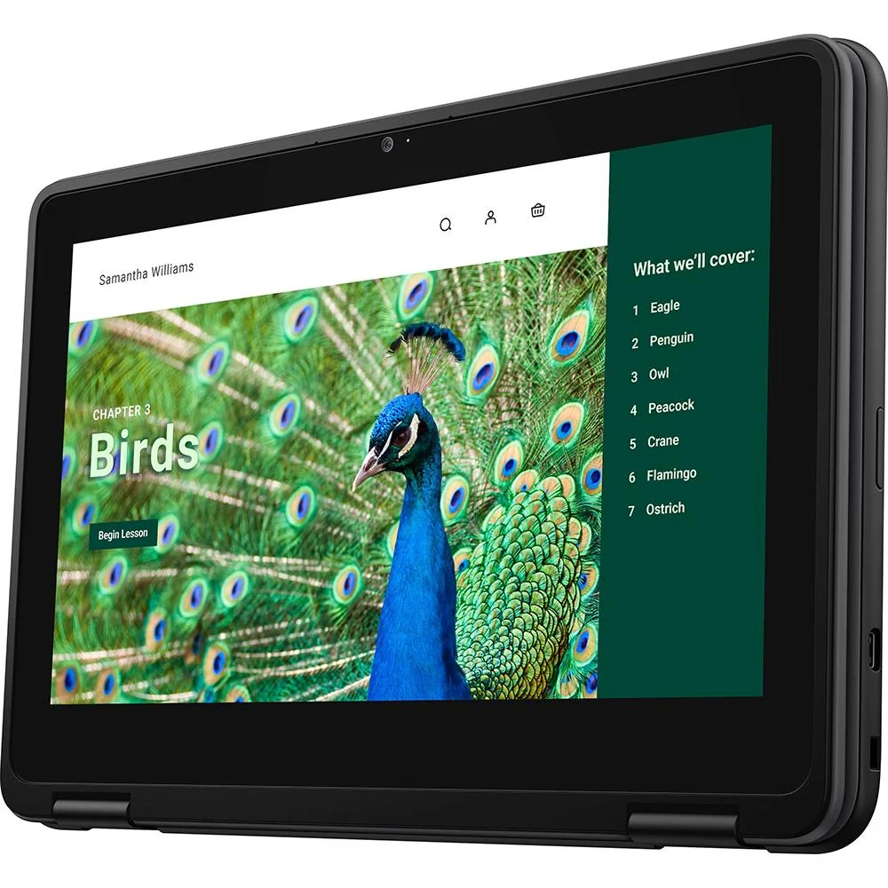 Dell 11.6" 3120 64GB Chromebook - NRD5N - Image 11