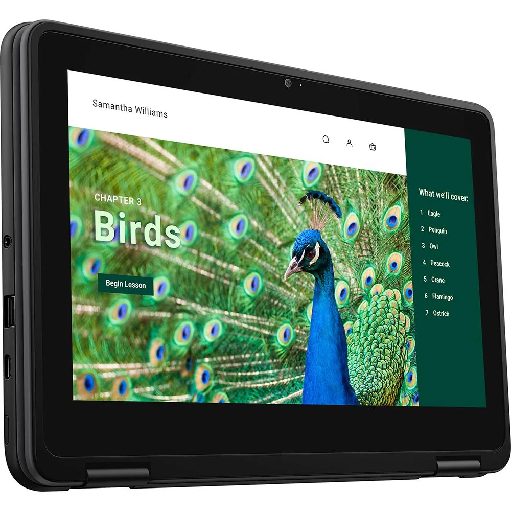Dell 11.6" 3120 64GB Chromebook - NRD5N - Image 12