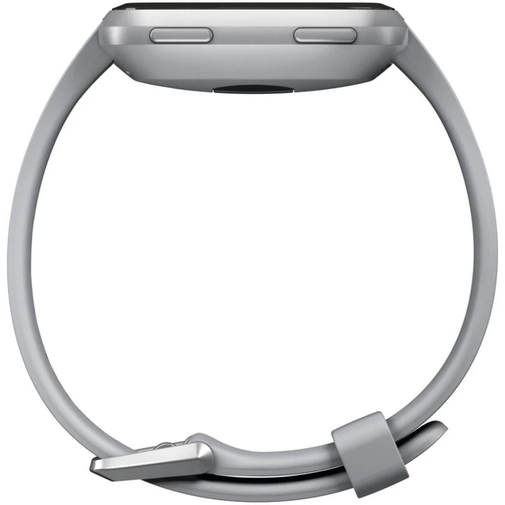 Fitbit Versa Smartwatch, Small & Large Bands Included, Gray/Silver - Image 6