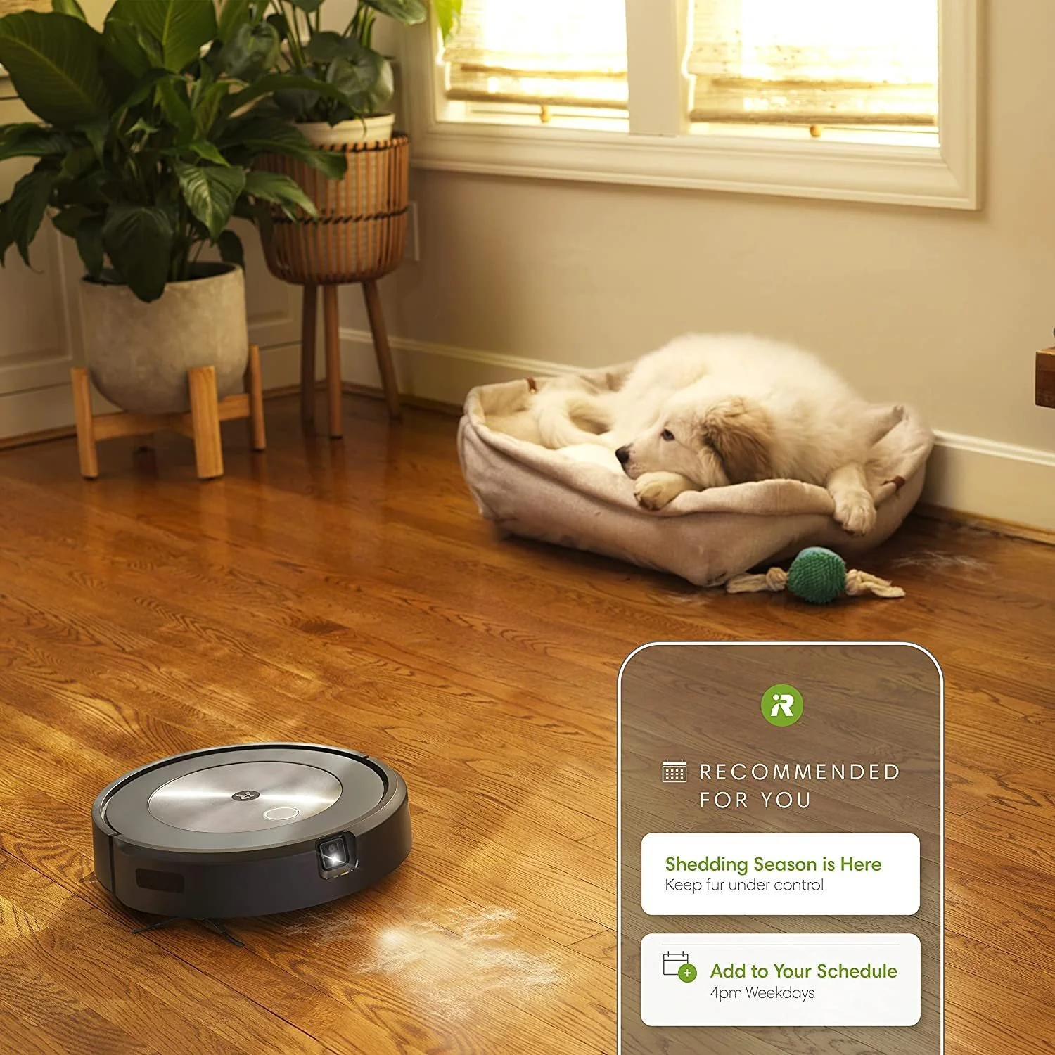 iRobot Roomba j7 7150 Wi-Fi Connected Robot Vacuum (J715020) Refurbished - Image 6