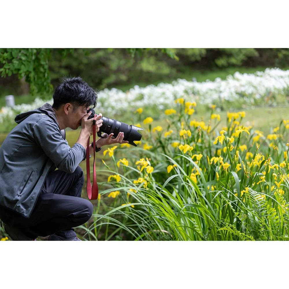 Nikon NIKKOR Z 100-400mm f/4.5-5.6 VR S Telephoto Zoom Z-Mount Lens Open Box - Image 10