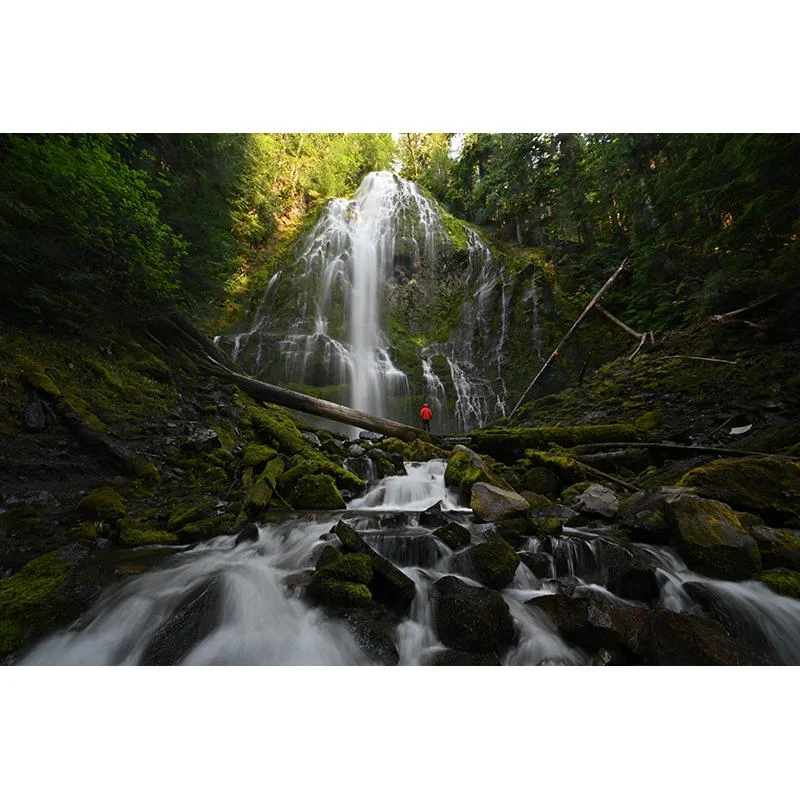 Nikon NIKKOR Z 14-24mm f/2.8 S Full Frame Wide Zoom Lens for Z-Mount Mirrorless 20097 - Image 8