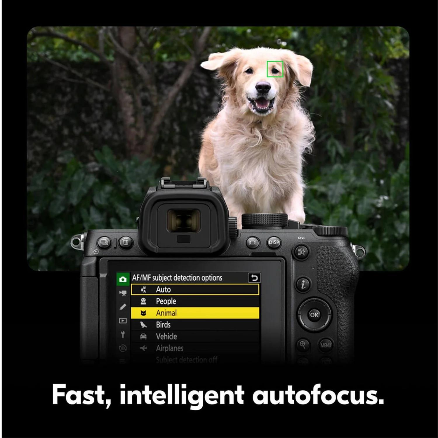 Nikon Z5 II with 24-70mm f/4 S Lens Mirrorless Camera - Black - Image 19