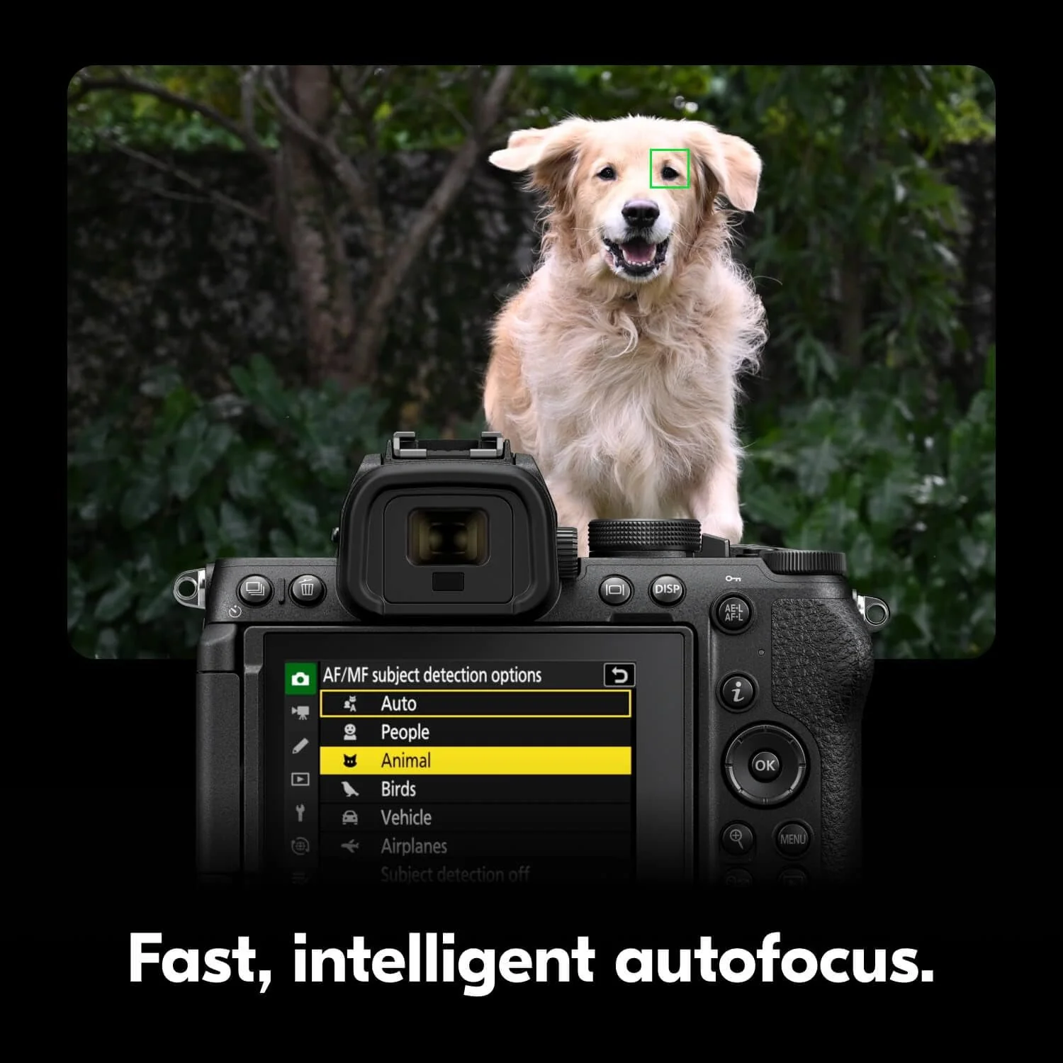 Nikon Z5II FX Full-Frame Mirrorless Camera w/ 24-200mm Lens Kit +Deco Essentials eBook - Image 5