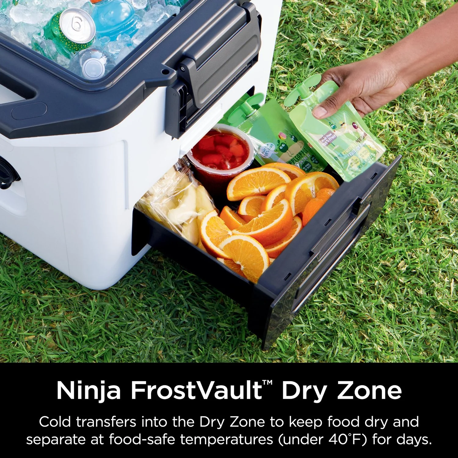 Ninja FB131WH FrostVault 30qt Hard Cooler with Dry Zone, Cloud White - Refurbished - Image 3