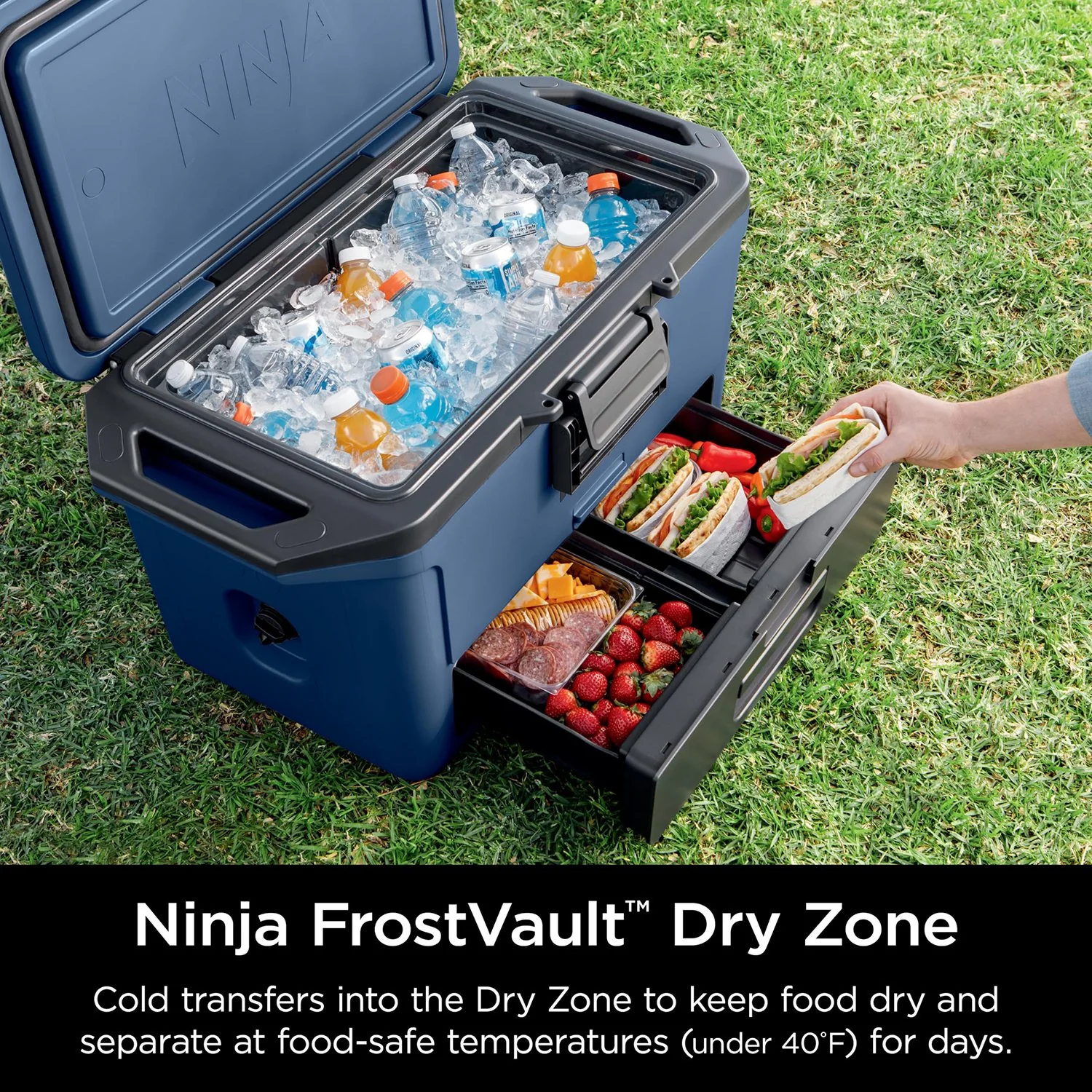 Ninja FB151BL FrostVault 50qt Hard Cooler with Dry Zone, Lakeshore Blue - Refurbished - Image 3