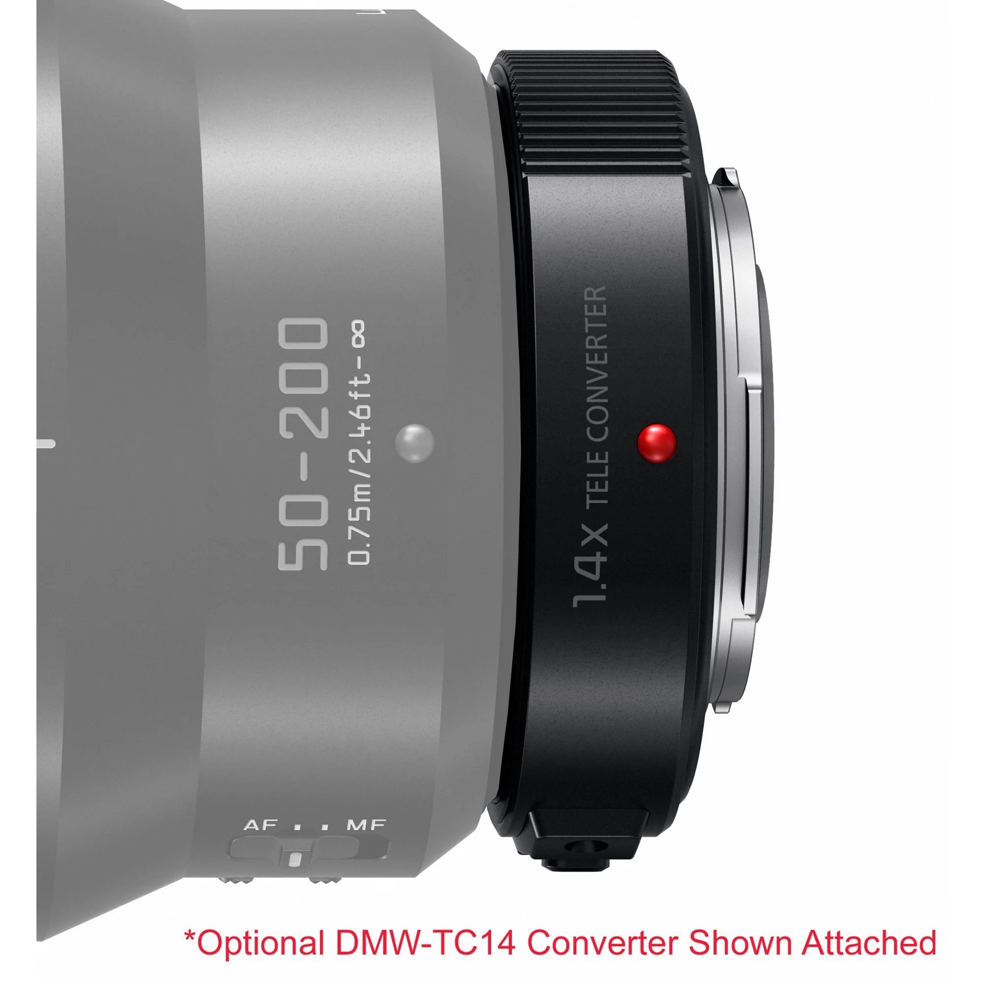 Panasonic 50-200mm f/2.8-4.0 Lumix G Leica DG Vario-Elmarit Power O.I.S. Lens H-ES50200 - Image 11