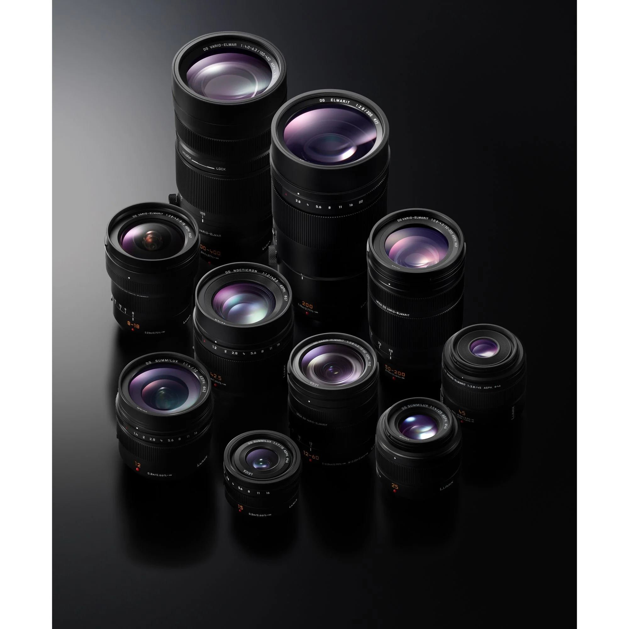 Panasonic 50-200mm f/2.8-4.0 Lumix G Leica DG Vario-Elmarit Power O.I.S. Lens H-ES50200 - Image 13