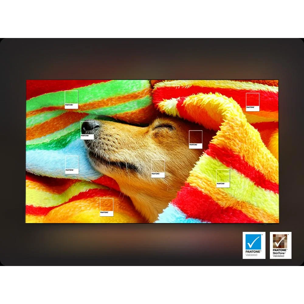 Samsung 77 inch OLED 4K S95F Vision AI Smart TV (2025) - Image 8