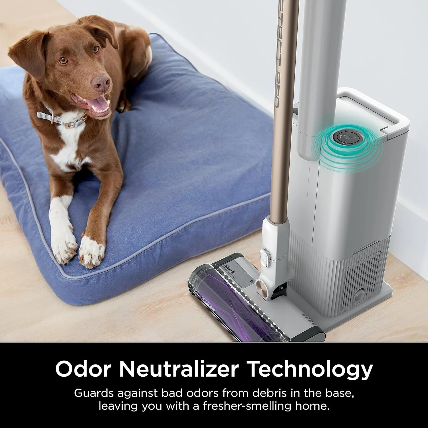 Shark IW3511 Detect Pro Cordless Vacuum Cleaner w/ Auto-empty Dock, Factory Refurb - Image 11