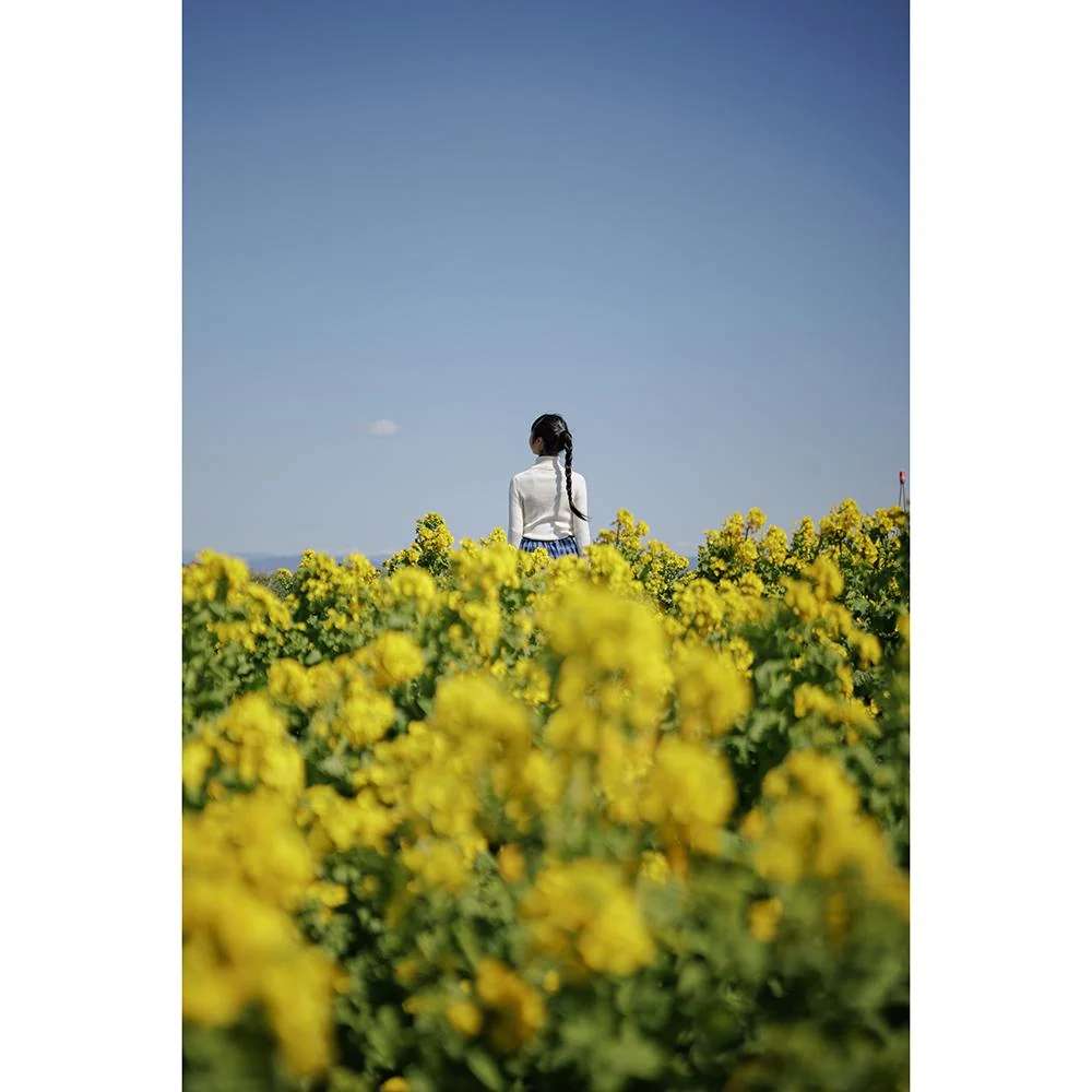 Sigma 17-40mm f/1.8 DC Art Lens (FUJIFILM X) - Image 9