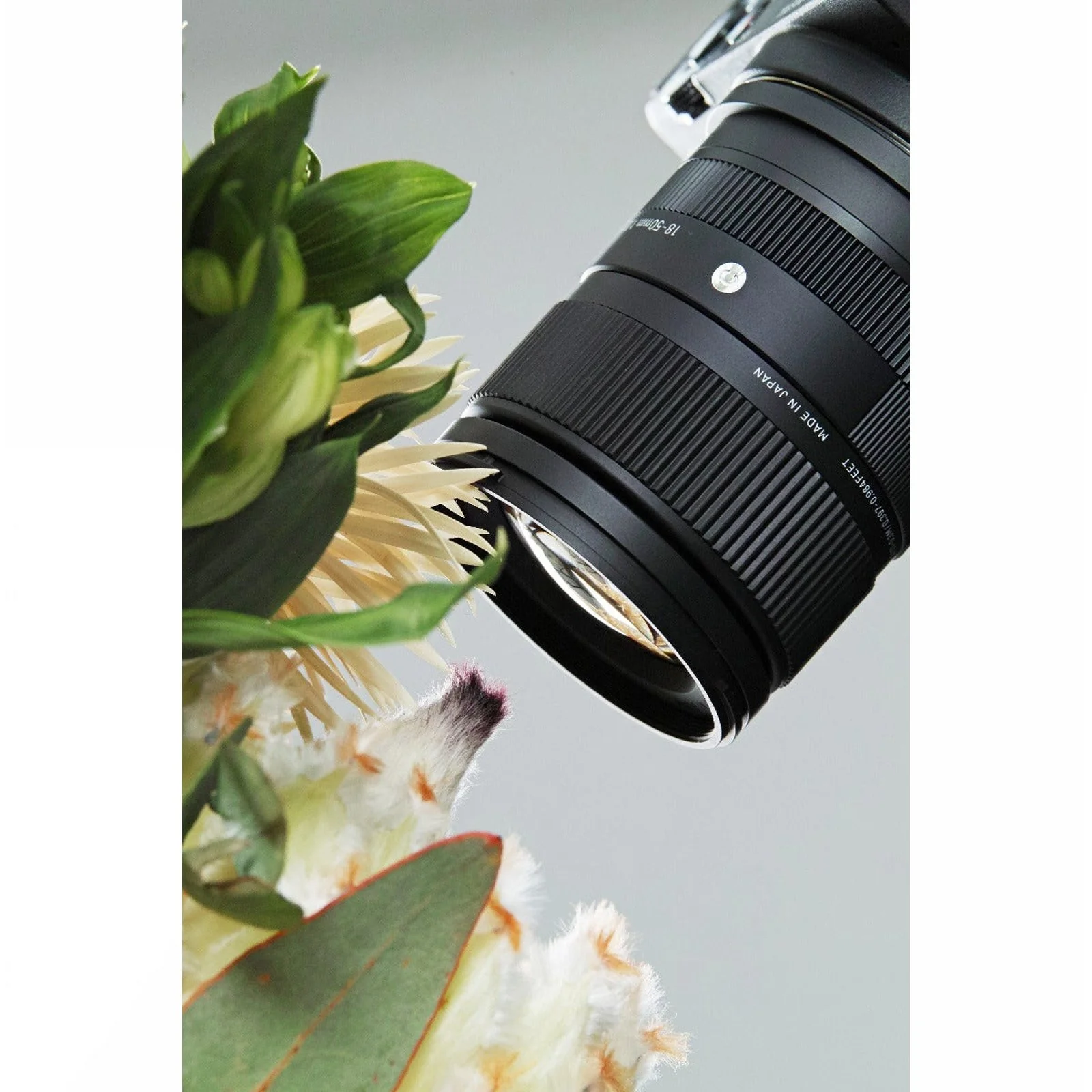 Sigma 18-50mm F2.8 DC DN Contemporary APS-C Format Zoom Lens for Canon RF-Mount Bundle - Image 8