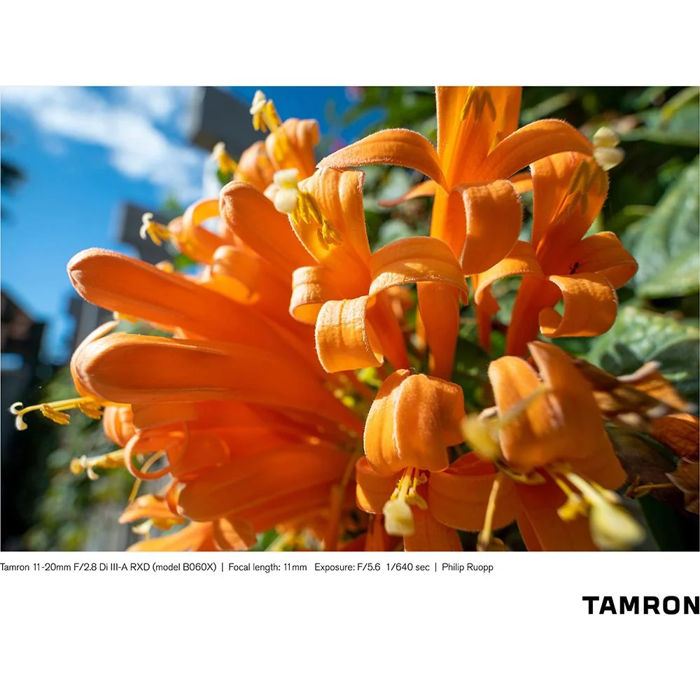 Tamron 11-20mm F/2.8 Di III-A RXD for FUJIFILM X APS-C Mirrorless Cameras - Open Box - Image 12