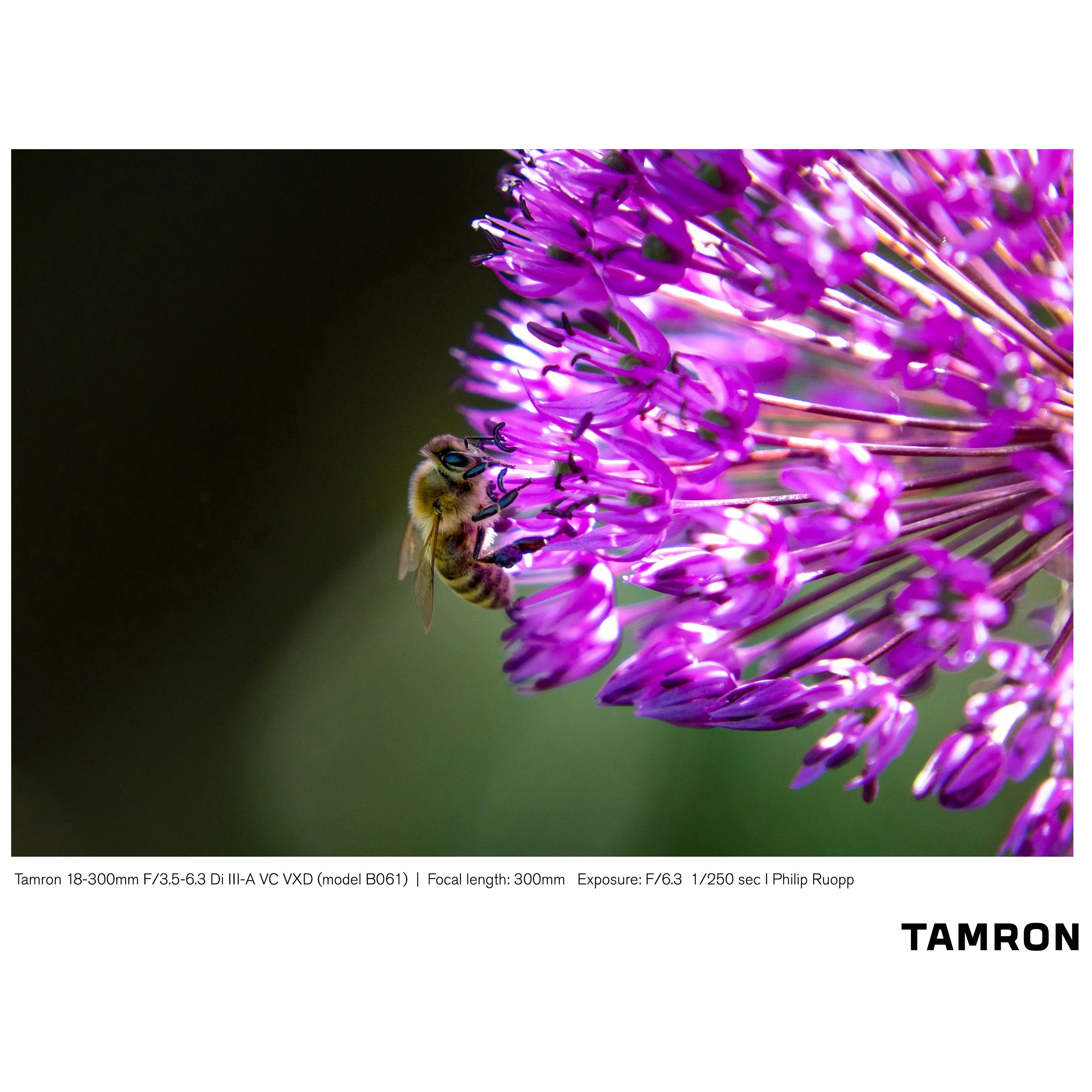 Tamron 18-300mm F3.5-6.3 Di III-A VC VXD Lens for Sony E-Mount APS-C Mirrorless B061 - Image 3