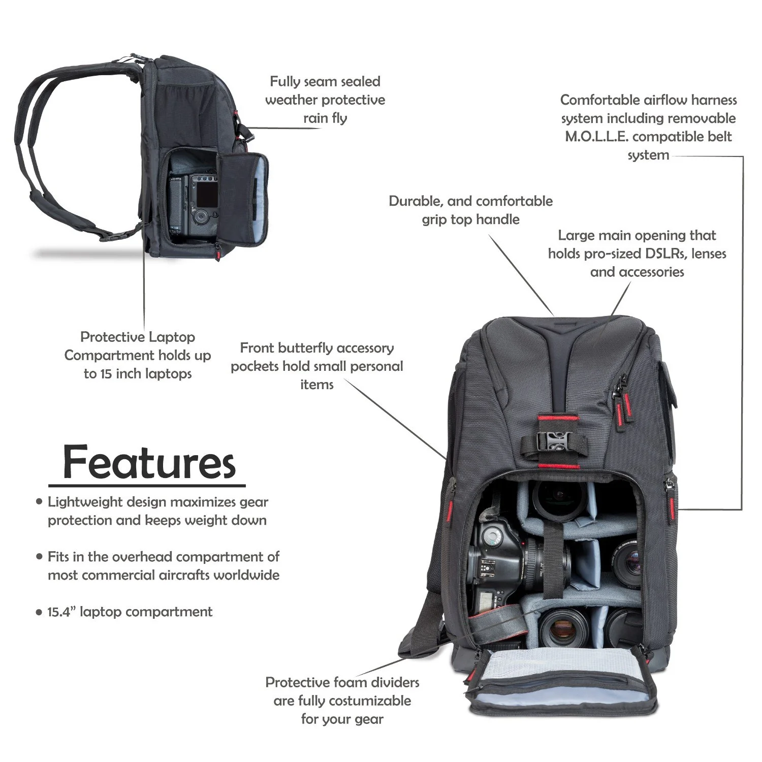 Tamron SP 24-70mm f/2.8 Di VC USD G2 Lens for Canon EF Mount Camera Pro Backpack Bundle - Image 2