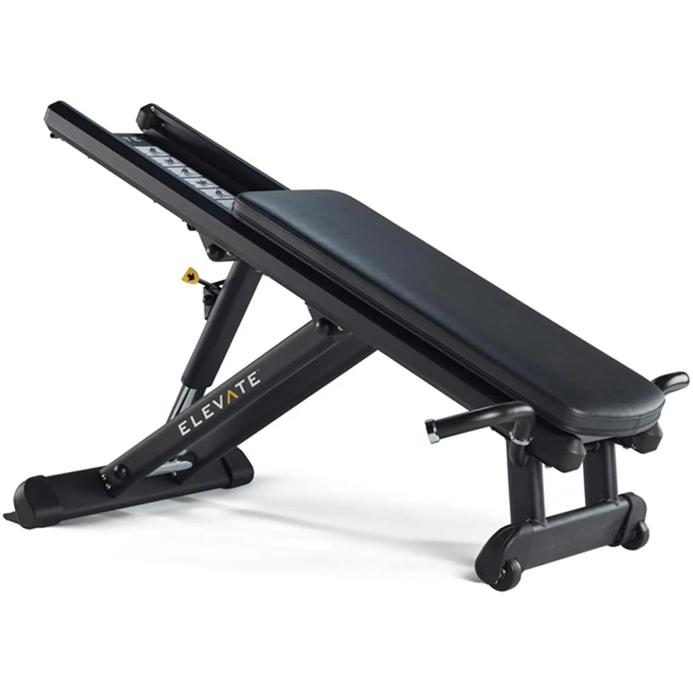 Total Gym ELEVATE Commercial Shoulder Press with Wireless Sport Earbuds Bundle - Image 5
